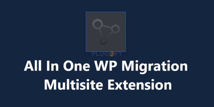 All In One WP Migration Multisite Extension [Activated] v4.37